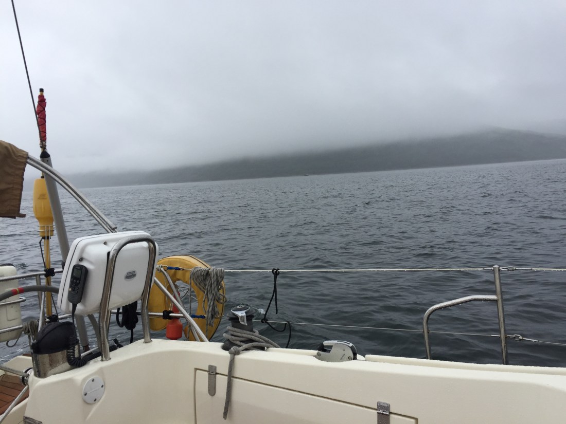 415CEEB6-3DD8-4768-BE98-FBC1A8606083