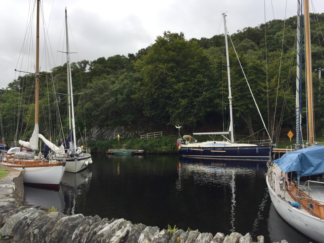 45911D3A-3854-4E4E-BB86-40F82ED06350