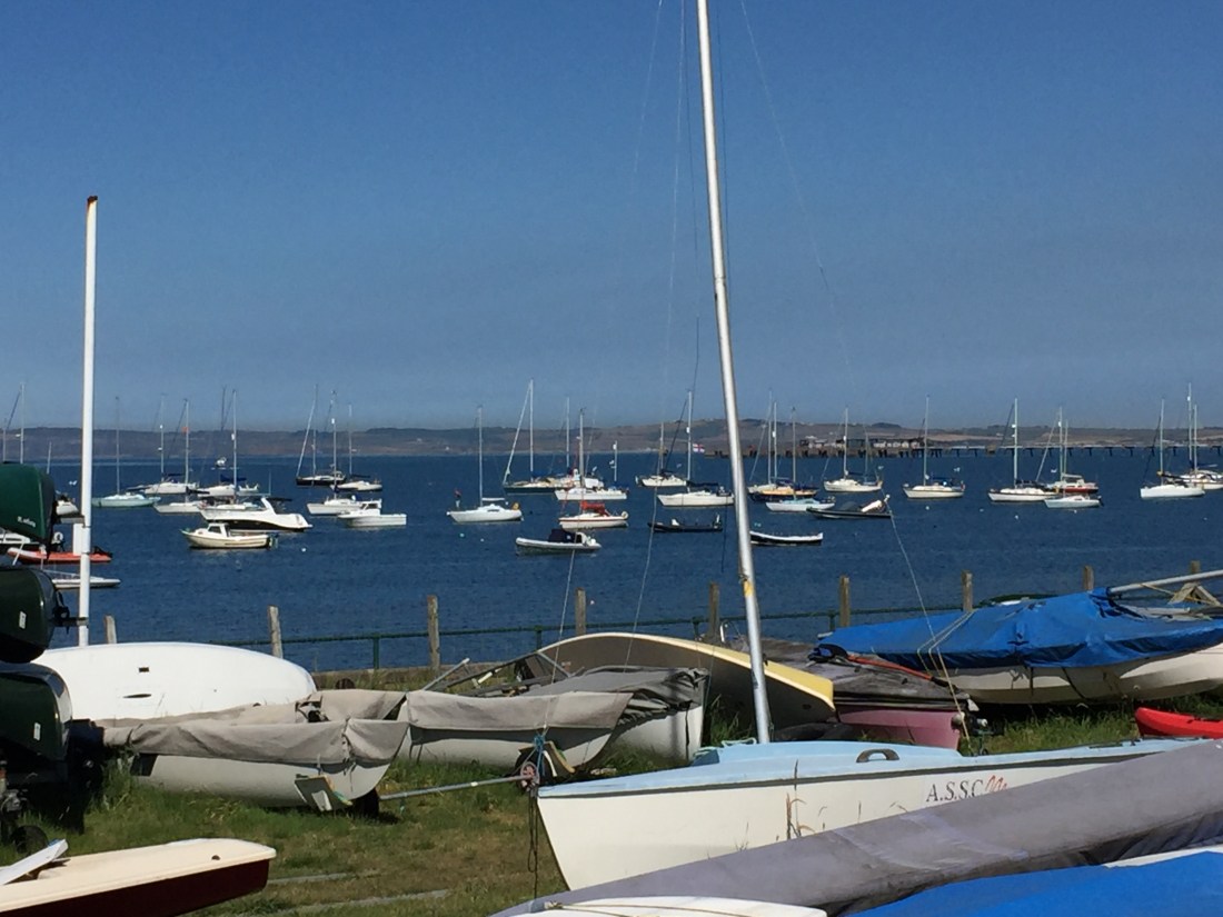 533A7A99-FAA1-4874-80AA-6054D046B6D4