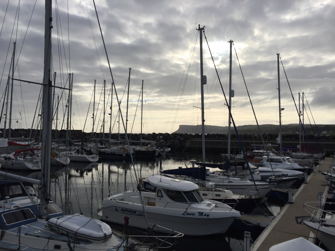 7D3C555D-DD4C-4DD2-9AC2-8FBE61BC673F