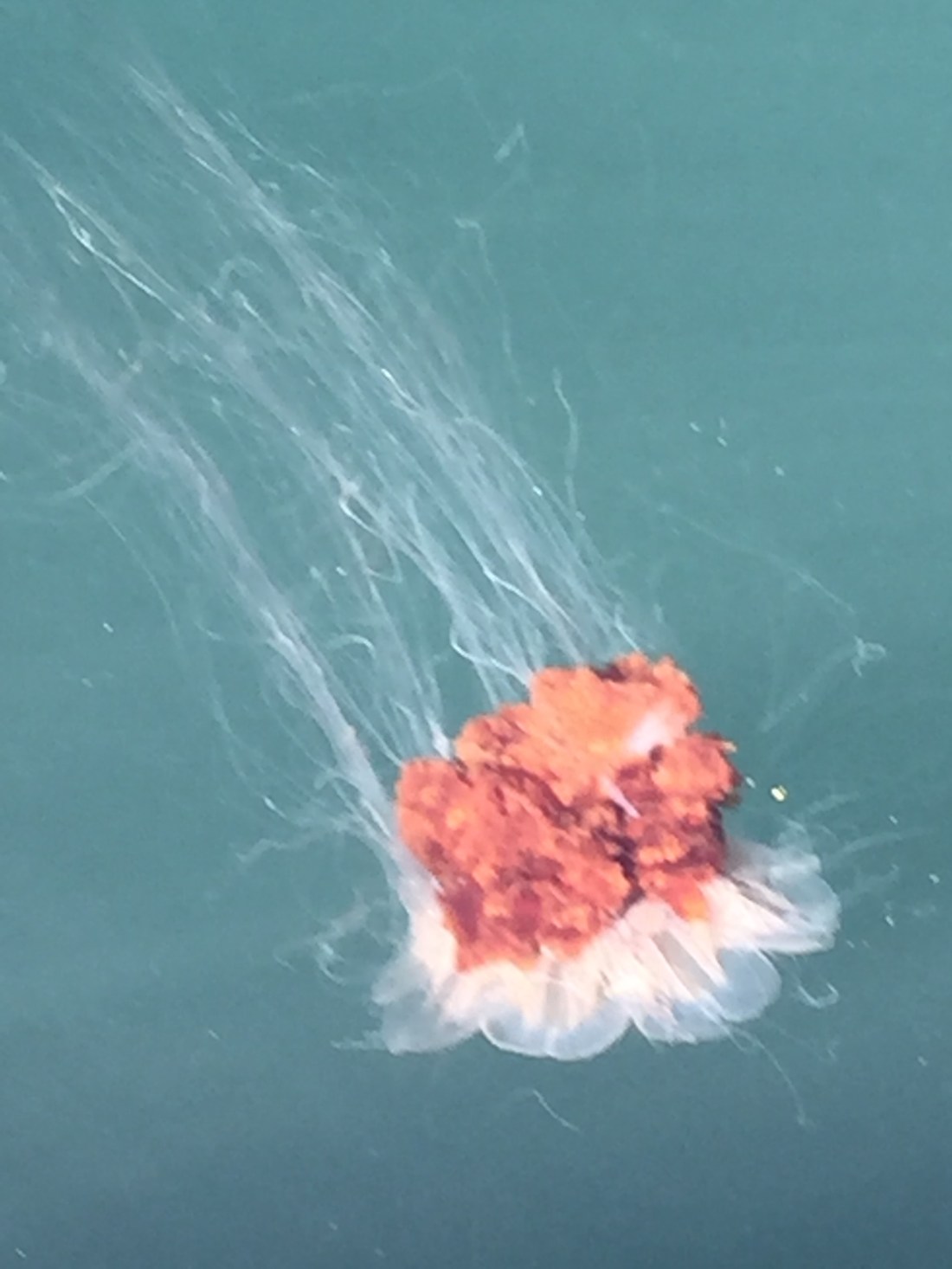 7D82C592-22BA-48E9-91E0-288EA5037BB5