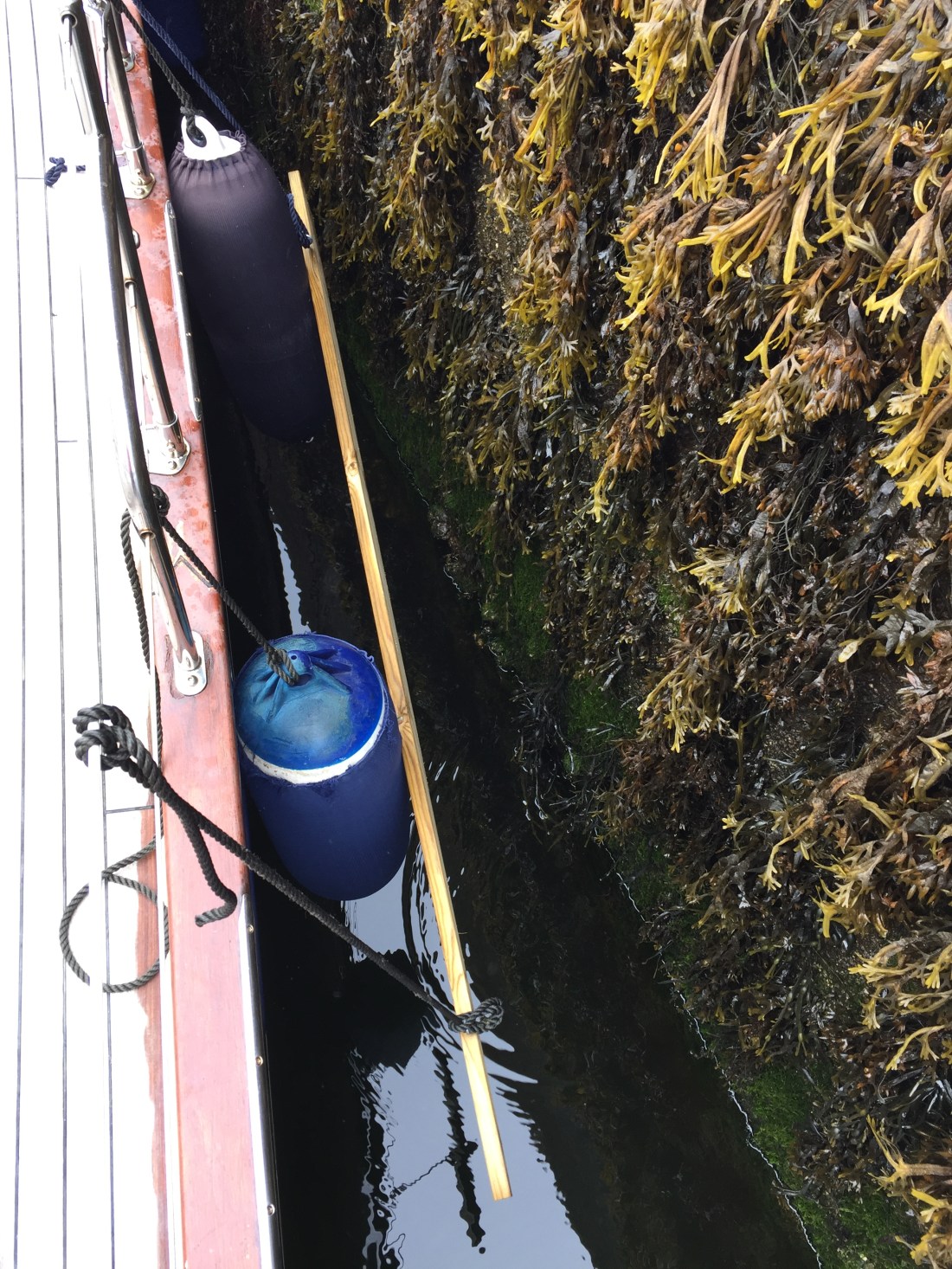 DD674DB4-475F-4155-AC88-1FE44238C15F