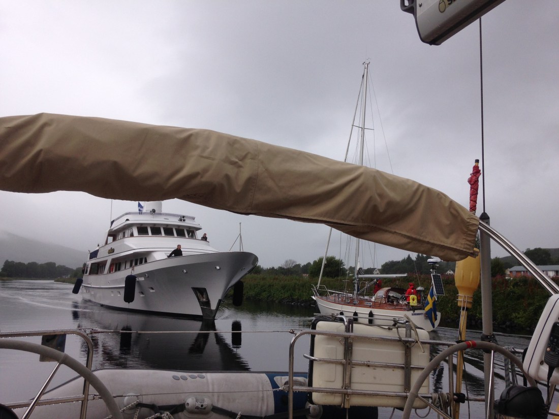 CD4A9A81-6AC9-4495-BDE8-E1FB1A8D33AA