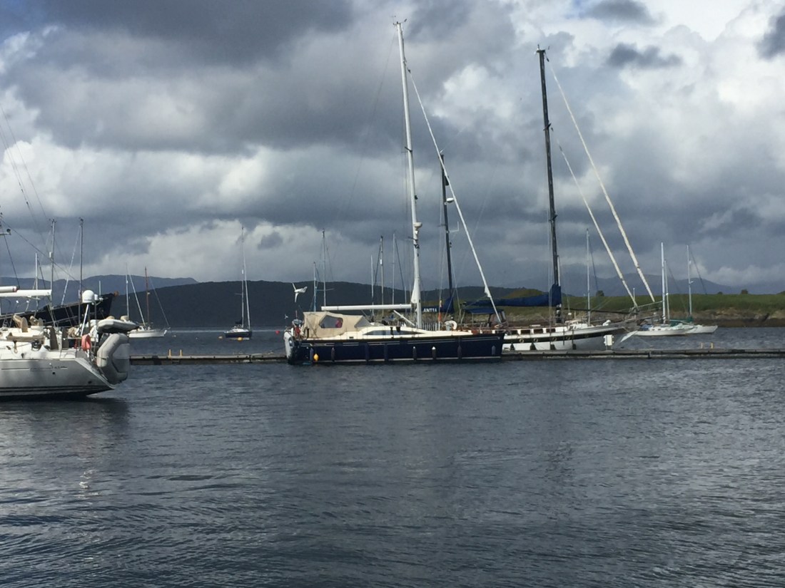 D277D4D1-4DBA-4E5E-ABBE-D72E79128523