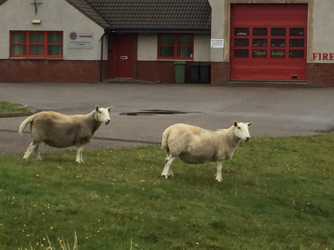 20F919FA-5CE3-40CA-9E7B-7C1D69547E0A