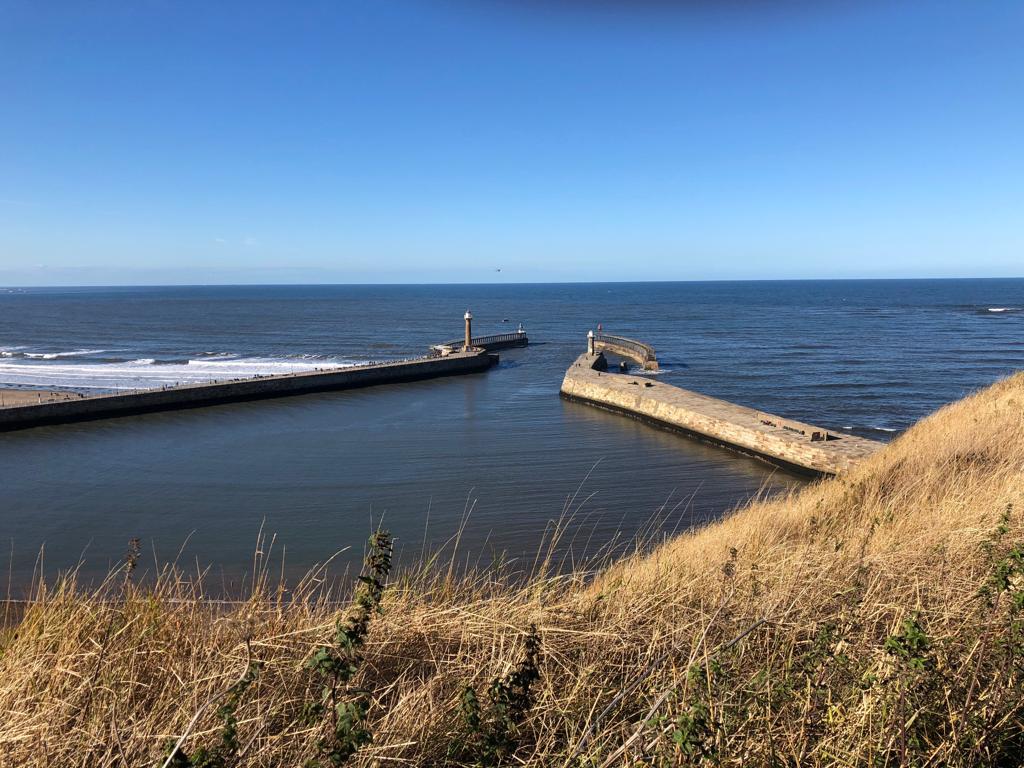 43938D1F-B0BF-4AD0-88D3-5AD029C84288