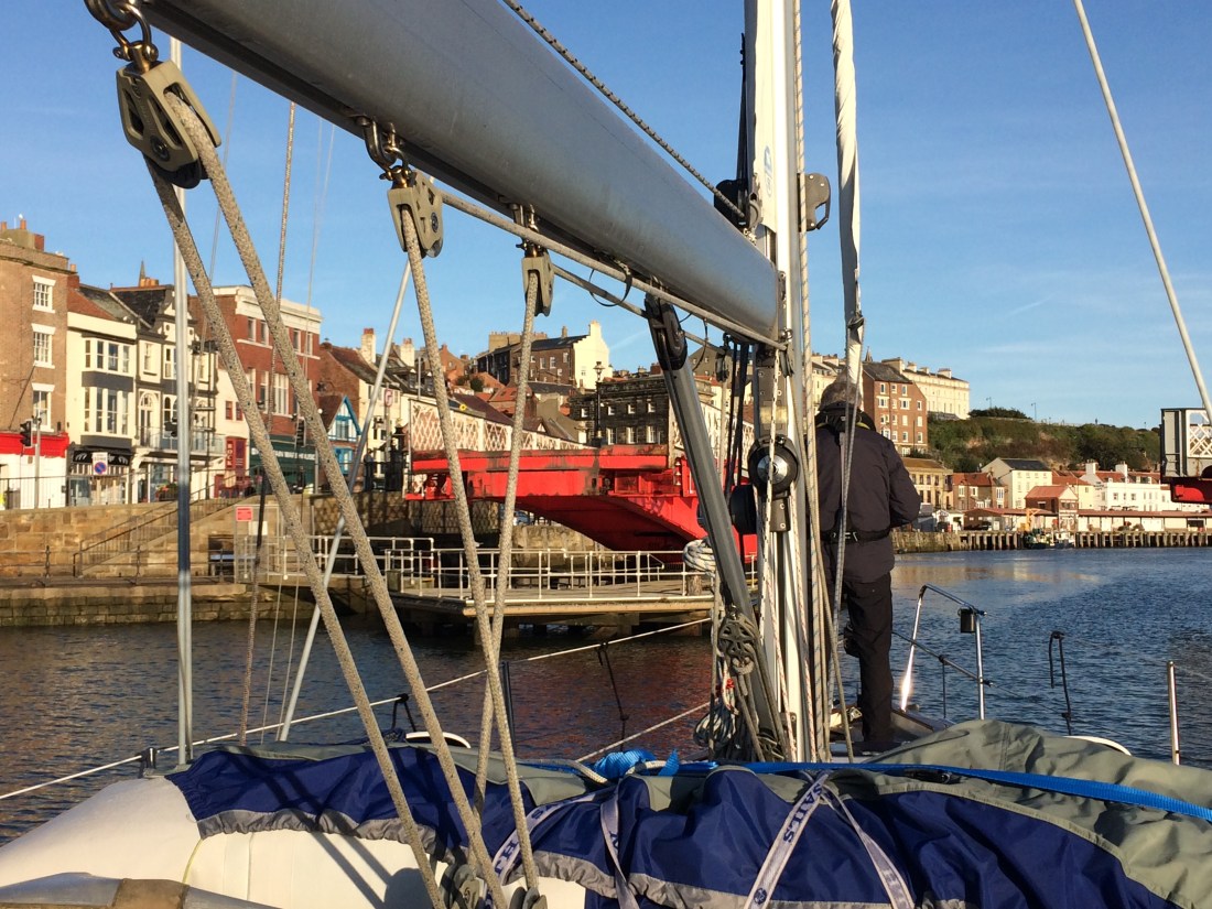 EEC66714-FC43-4D36-BC52-FF5E6307A3EA